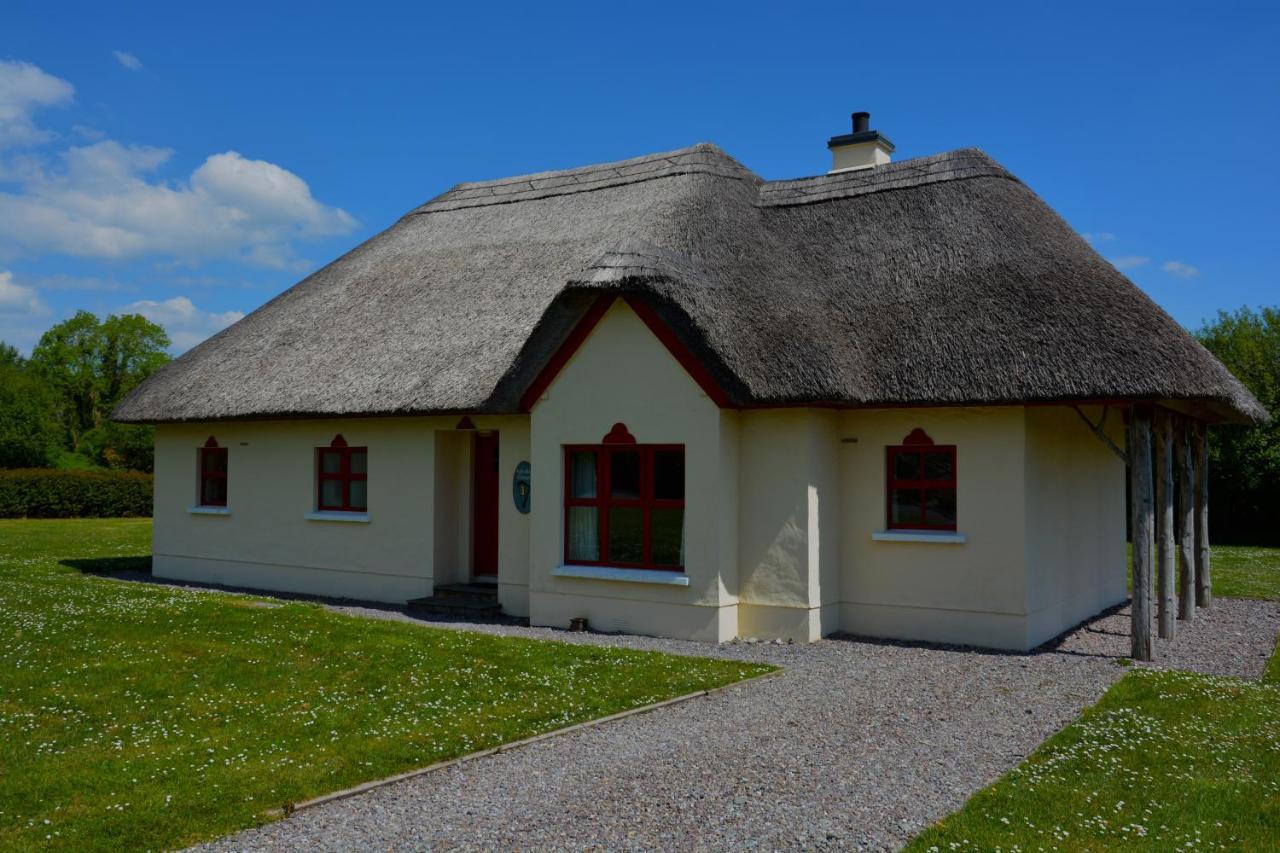 Amber Cottage Killarney Ngoại thất bức ảnh